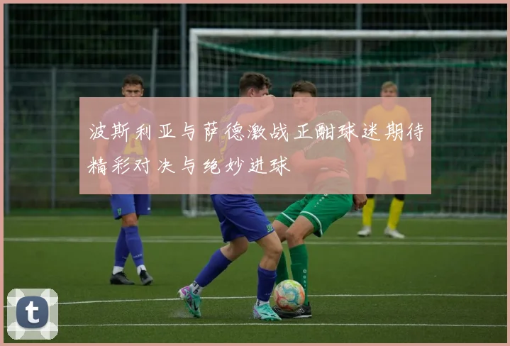 波斯利亚与萨德激战正酣球迷期待精彩对决与绝妙进球