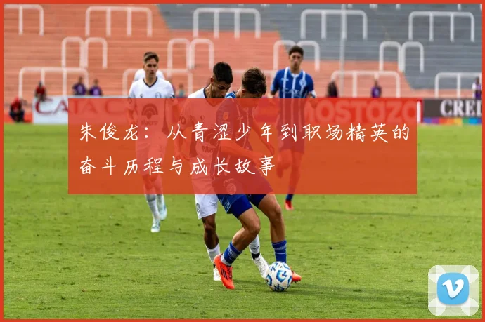 朱俊龙：从青涩少年到职场精英的奋斗历程与成长故事
